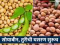 सोयाबीन, तुरीचे उत्पादक शेतकऱ्यांची चिंता वाढली शेतमाल अजून किती दिवस घरातच ठेवायचा? - Marathi News | Soybean, pigeon pea farmers concern increased, how many more days to keep the agricultural produce at home? | Latest agriculture News at Lokmat.com