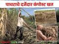 ऊस उत्पादकांनो ऊसाचे पाचट जाळू नका; घरच्या घरी तयार करा पाचटापासून कंपोस्ट खत - Marathi News | Sugarcane growers do not burn sugarcane stalks; Make compost from compost at home | Latest agriculture News at Lokmat.com