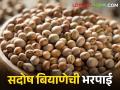 तुरीचे बियाणे सदोष निघाले; शेतकऱ्याला ७० हजार रुपये नुकसान भरपाई देण्याचे आदेश - Marathi News | Pigeon Pea seeds turned out to be defective; Order to pay Rs 70 thousand compensation to the farmer | Latest agriculture News at Lokmat.com