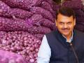 कांदाप्रश्नी राज्याची मागणी केंद्र सरकारने मान्य केली - Marathi News | The central government accepted the demand of the state related to Onion export | Latest nagpur News at Lokmat.com