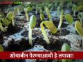 कृषी वसंत अभियानाला सुरुवात; शेतकऱ्यांना दिले जातेय मार्गदर्शन - Marathi News | Agriculture Spring campaign launched; Guidance is being given to farmers | Latest agriculture News at Lokmat.com