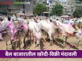 बैल बाजारातील खरेदी विक्री मंदावली; आर्थिक उलाढाल ठप्प! - Marathi News | Bull market buying and selling slowed; Financial turnover stopped! | Latest agriculture News at Lokmat.com