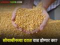 बाजार समित्यात सोयाबीनचा भाव घटला अन् शेतकऱ्यांनी विकण्याचा विचारच बदलला! - Marathi News | The price of soybeans fell in the market committee and the farmers changed their mind to sell! | Latest agriculture News at Lokmat.com