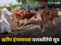 खरीप हंगामाची अशी करा पूर्वतयारी; पीक येईल जोमाने होईल भरभराट सारी - Marathi News | Prepare for Kharif season like this; Then crop will come vigorously and there will be prosperity | Latest agriculture News at Lokmat.com