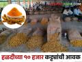 हळदीची १० हजार कट्ट्यांची बाजारात आवक होताच; दर ५०० ने घसरले - Marathi News | As soon as 10,000 pieces of turmeric bags are introduced in the market; Rates fell by 500 | Latest agriculture News at Lokmat.com
