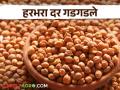 आयात शुल्क माफ केल्यामुळे बाजारात हरभरा दर गडगडले - Marathi News | Gram prices tumbled in the market after import duty was waived | Latest agriculture News at Lokmat.com