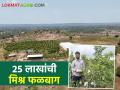 स्पर्धा परीक्षा सोडून माळरानात फुलविली फळबाग; मराठवाड्यात परदेशी फळांचा थाट - Marathi News | Leaving the competitive examination, the fruit garden was flowered in barren land; Foreign fruits in Marathwada | Latest agriculture News at Lokmat.com