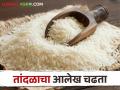 बासमती, चिन्नोर, आंबेमोहोर तांदळाच्या दरात भरीव वाढ  - Marathi News | Substantial hike in Basmati, Chinnore, Ambemohor rice prices | Latest agriculture News at Lokmat.com