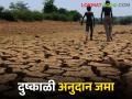 दुष्काळी अनुदान जमा; खात्यावर मदत आल्याने शेतकऱ्यांना मिळाला दिलासा - Marathi News | Accumulation of Drought Grants; Farmers got relief as help came to the account | Latest agriculture News at Lokmat.com