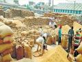 भरडाईसाठी धानाची उचल नाही, ३४ राईस मिलर्सला बजावल्या नोटीस - Marathi News | No lifting of paddy for shipment, notices issued to 34 rice millers | Latest gondia News at Lokmat.com