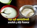 बघा तुमचेही दह्याविषयीचे 'हे' गैरसमज आहेत का? आयुर्वेदतज्ज्ञ सांगतात दही पौष्टिकच, पण खायचं तर.. - Marathi News | important myths and facts related to curd as per ayurveda, who should avoid eating curd, health benefits of curd | Latest sakhi News at Lokmat.com