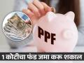 पीपीएफ आणि दर महिन्याची ५ तारीख, अचूक टायमिंग लक्षात ठेवा; 1 कोटीचा फंड जमा करू शकाल - Marathi News | ppf scheme news Investing in PPF can get higher returns | Latest business Photos at Lokmat.com