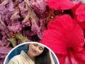 लांब आणि दाट केस हवेत? जास्वंदाच्या फुलांचा करा 'असा' वापर; केसांची प्रत्येक समस्या होईल दूर - Marathi News | Hibiscus For Hair Growth: Benefits + How To Use | Latest sakhi News at Lokmat.com