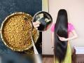केस पातळ झाले, कंगव्यात अडकतात? अर्धा चमचा मेथीचा खास उपाय, लांब-दाट होतील केस - Marathi News | How To Fenugreek Seeds On Hairs : How To Apply Fenugreek Seeds In Hairs | Latest sakhi News at Lokmat.com