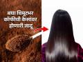केसांच्या सगळ्याच तक्रारी दूर करण्यासाठी चिमूटभर कॉफी 'अशा' पद्धतीने वापरा, केस होतील दाट- लांब - Marathi News | coffee hair mask for hair care, how to use coffee for long and strong hair, coffee hair mask for reducing dandruff | Latest sakhi Photos at Lokmat.com