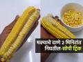 मक्याचे दाणे २ मिनिटांत निघतील; १ ट्रिक वापरा; दाणे काढण्याचं किचकट काम होईल सोपं - Marathi News | The Cleanest Way To Remove Corn From The Cob : How To Remove Corn From After Cooking | Latest sakhi Photos at Lokmat.com