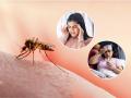 पावसाळ्यात मलेरियाचे वाढले रुग्ण, मलेरिया होऊच नये म्हणून ‘अशी’ घ्या काळजी, ॲडमिट होण्याचा धोका टाळा... - Marathi News | 5 ways to prevent malaria how can you prevent malaria Malaria Prevention and Control | Latest sakhi News at Lokmat.com