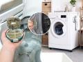 न घासता १० मिनिटांत वॉशिंग मशिन होईल नव्यासारखं चकाचक, बघा स्वच्छता करण्याची सोपी ट्रिक - Marathi News | How to clean washing machine from inside, cleaning tips for automatic washing machine, simple and easy method of cleaning washing machine | Latest sakhi News at Lokmat.com