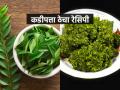 गॅसही न पेटवता २ मिनिटांत करा कडीपत्त्याचा चटकदार ठेचा, बघा झटपट होणारी सोपी रेसिपी - Marathi News | kadipatta thecha recipe in marathi, how to make curry leaves chutney, easy and simple recipe of curry leaves chutney | Latest sakhi News at Lokmat.com