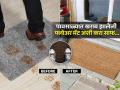 पावसाळ्यात फ्लोअर मॅटचा कुबट वास त्रासदायक, न धुता फ्लोअर मॅट स्वच्छ करण्याचे ६ उपाय... - Marathi News | How to Clean Door Mats Without a Washing How To get rid of the smell from floor mats without washing them How to get the smell out of floor mats without washing | Latest sakhi Photos at Lokmat.com