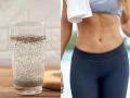 पोट सुटलं-व्यायामालाही वेळ नाही? या बिया सकाळी कोमट पाण्यात घालून प्या, पाहा बदल - Marathi News | Drink Chia Seeds Mixed Lukewarm Water on An Empty Stomach In The Morning Obesity Will Reduce Rapidly | Latest sakhi News at Lokmat.com