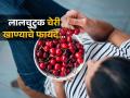 इवलेसे लालचुटुक फळं पण आरोग्यासाठी ठरते वरदान ! पाहा चेरी खाण्याचे ६ फायदे... - Marathi News | 6 Amazing Benefits Of Eating Cherries All the Health Benefits of Eating Cherries Impressive Health Benefits of Cherries | Latest sakhi News at Lokmat.com