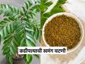 कडीपत्त्याची खमंग चटणी; केस त्वचा आणि वजन घटवण्यास गुणकारी; पण चटणी करायची कशी? - Marathi News | Curry Leaves Chutney | Kadi Patta Chutney | Latest sakhi News at Lokmat.com
