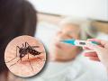 डेंग्यू अंगावर काढाल तर जीव गमवाल; २८ जण फणफणले! - Marathi News | Consult a Doctor if you caught dengue; 28 people are infected in Amravati | Latest amravati News at Lokmat.com