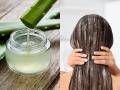 केसांना कोरफड लावण्याची योग्य पद्धत कोणती? १ खास ट्रिक, केस होतील मऊ- चमकदार  - Marathi News | which is the best method for applying aloe vera to hair, how to apply aloe vera to hair, benefits of aloe vera to hair | Latest sakhi News at Lokmat.com