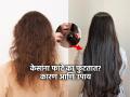 केसांना फाटे का फुटतात? बघा कारणं आणि ३ सोपे उपाय, कोरडेपणा जाऊन केस होतील मऊ - Marathi News | major reasons for split hair, how to get rid of split hair, best home made hair mask for split hair | Latest sakhi Photos at Lokmat.com