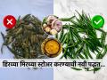 हिरव्या मिरच्या जास्त दिवस टिकाव्या, सडू नये म्हणून ‘हा’ खास उपाय- मिरच्या लवकर सडणार नाहीत... - Marathi News | How to preserve Green Chillies and prevent them from drying How to store green chilies so that they would stay for a long | Latest sakhi News at Lokmat.com