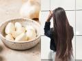केस गळणं ८ दिवसांत कमी होईल- लसूणाचा करा खास उपयोग, केस होतील दाट- वाढतील भराभर - Marathi News | how to use lasun or garlic for hair growth, best home remedies to control hair loss, how to apply lasun for fast hair growth | Latest sakhi News at Lokmat.com