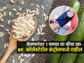 जेवणानंतर फक्त १ चमचा 'या' बिया खा; कोलेस्टेरॉल-बीपी कंट्रोलमध्ये येईल; पोट नीट साफ होईल - Marathi News | Cucumber Seeds In These Disease Help To Reduce High Cholesterol Level And Sugar Based On Research | Latest sakhi News at Lokmat.com