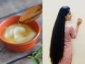 दह्यात फक्त ४ गोष्टी मिसळून केसांना लावा- केस चमकतील आणि होतील मऊ कायमचे... - Marathi News | Mix just 4 ingredients in curd & hair will be shiny & soft Mixing this 4 thing with curd & applying hair naturally increase hair growth | Latest sakhi News at Lokmat.com