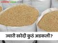 Agriculture News : जळगाव जिल्ह्यात ज्वारी खरेदीची 'ही' दहा केंद्रे बंद, शेतकऱ्यांचे आर्थिक नुकसान  - Marathi News | Agriculture News ten centers of sorghum purchase closed in Jalgaon district see details | Latest agriculture News at Lokmat.com