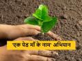 Ek Ped Maa Ke Naam : 'एक पेड माँ के नाम' अभियान, सप्टेंबर 2024 पर्यंत 80 कोटी रोपे लावण्याचा निर्धार  - Marathi News | Latest News Ek Ped Maa Ke Naam tree plantation campaign, committed to planting 80 crore saplings by September 2024  | Latest agriculture News at Lokmat.com