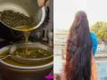 केस खूप तुटतात-पातळ झालेत? १ चमचा मेथी दाण्यांचा असा वापर करा, घनदाट-लांब केस मिळवा - Marathi News | How To Get Long Hairs Using Home Remedies : Methi, Curry leaves Water For Hair Growth Homemade Solution | Latest sakhi News at Lokmat.com
