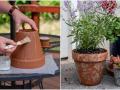 मातीच्या कुंड्यावर शेवाळ वाढलंय? ५ उपाय- कुंड्या दिसतील स्वच्छ-पावसाळ्यात रोपंही वाढतील जोमानं... - Marathi News | How to Clean and Disinfect Plant Containers How to Clean Garden Pots & Planters What is the best cleaner for plant pots | Latest sakhi News at Lokmat.com