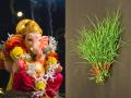 गणपतीला वाहिलेल्या हिरव्यागार दुर्वांचे ७ भन्नाट फायदे, त्वचा विकार ते पोटाचे आजार-पाहा उपाय... - Marathi News | 7 amazing benefits of green durva Medicinal & Versatile Uses of an Amazing Durva Grass Durva Grass Health Benefits | Latest sakhi News at Lokmat.com