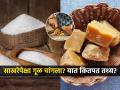 साखर वाईट म्हणून ज्यात त्यात गूळ घालता? गुळाने शुगर वाढत नाही हे खरं की खोटंच.. - Marathi News | Is Jaggery healthier than sugar : Do you use jaggery for tea and sira because you don't want sugar? It is true that jaggery does not increase sugar | Latest sakhi News at Lokmat.com