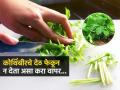 कोथिंबीरचे देठ फेकून न देता त्याचा 'असा' करा वापर, इवलुशा देठाचे माहित नसतील इतके उपयोग... - Marathi News | How To Use Coriander Stems What to do with the coriander stem 6 Ways To Use Coriander Stem Tips For Using Coriander Stem | Latest sakhi Photos at Lokmat.com