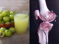 फक्त १ ग्लास आवळ्याचा रस 'या' पद्धतीनं प्या; हाडं होतील बळकट-हरवलेलं तारुण्य येईल परत - Marathi News | Vitamin C Vitamin A Calcium Rich Amla Juice Is Best To Drink Everyday | Latest sakhi News at Lokmat.com