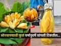 सोनसळी रंगाची सोनचाफ्याच्या फुलांचा गंध ‘असा’ जपून ठेवा, पाहा वर्षानूवर्षे सोनचाफा साठवण्याची सोपी युक्ती... - Marathi News | How to store sonchafa in glass bottle without fridge Preserve yellow champa flowers for many years How to preserve sonchafa flowers in a glass bottle | Latest sakhi News at Lokmat.com