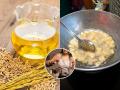 दिवाळीचा फराळ करताना 'या' स्वस्तात मस्त तेलाचा करा वापर; वजन वाढण्याची भीतीच उरणार नाही - Marathi News | 8 Surprising Health Benefits of Rice Bran Oil | Latest sakhi Photos at Lokmat.com