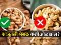 Diwali : बाजारात बनावट काजूंचीही विक्री, कॅन्सरचा धोका- ३ गोष्टींवरुन ओळखा काजू चांगले आहेत की भेसळ - Marathi News | 4 Easy Tips To Check Quality Of Cashew At Home During Diwali How to Check Purity Of Cashew | Latest sakhi News at Lokmat.com