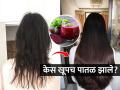 फक्त १ बीट घ्या आणि करा 'हा' उपाय, केस गळणं बंद, काही दिवसांतच केस होतील दाट- लांबसडक - Marathi News | home remedies for long hair, how to control hair loss, use of beetroot for hair growth | Latest sakhi Photos at Lokmat.com