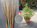 जुना झाडू फेकू नका, बागेच्या सजावटीसाठी वापरा- बघा बागेचा लूक बदलणाऱ्या ३ सुंदर आयडिया - Marathi News | garden decoration ideas using old broom, how to use old broom for gardening, best reuse of old broom | Latest sakhi News at Lokmat.com