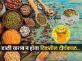 डाळीला कीड लागते? चमचाभर ‘हे’ तेल लावून ठेवा, किडे न होता डाळ टिकेल वर्षभर... - Marathi News | 1unique ways to protect pulses dals from insects How do you store dals for a long time best tip to keep your pulses, rice, and grains safe from insects How to remove insects from dal | Latest sakhi News at Lokmat.com