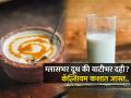 दूध आवडत नसेल तर नका पिऊ, कशाला टेंशन घेता! डॉक्टर सांगतात, दुधापेक्षा दहीच बेस्ट कारण.. - Marathi News | Milk versus Curd: Which one is healthier | Latest sakhi News at Lokmat.com