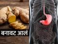 आलं तर चहात हवं पण वेळीच ओळखा बनावट आलं, पाहा ३ उपाय-भेसळीमुळे कॅन्सरचाही धोका - Marathi News | Fake Ginger Can Cause Cancer And Other Severe Disease Known Simple Tips To Cheack Purity Of Ginger | Latest sakhi News at Lokmat.com